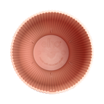 vibes fold coupe 14cm delicate pink